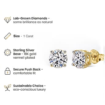 https://tjcuk.sirv.com/Products/79/5/7958475/7958475_4.jpg?w=342&h=342