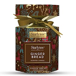 Starlytes Christmas Gift Pack Apple Cinnamon Scented Candles