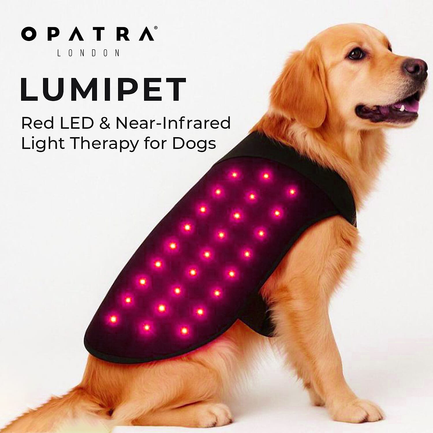 Opatra LumiPet - Medium