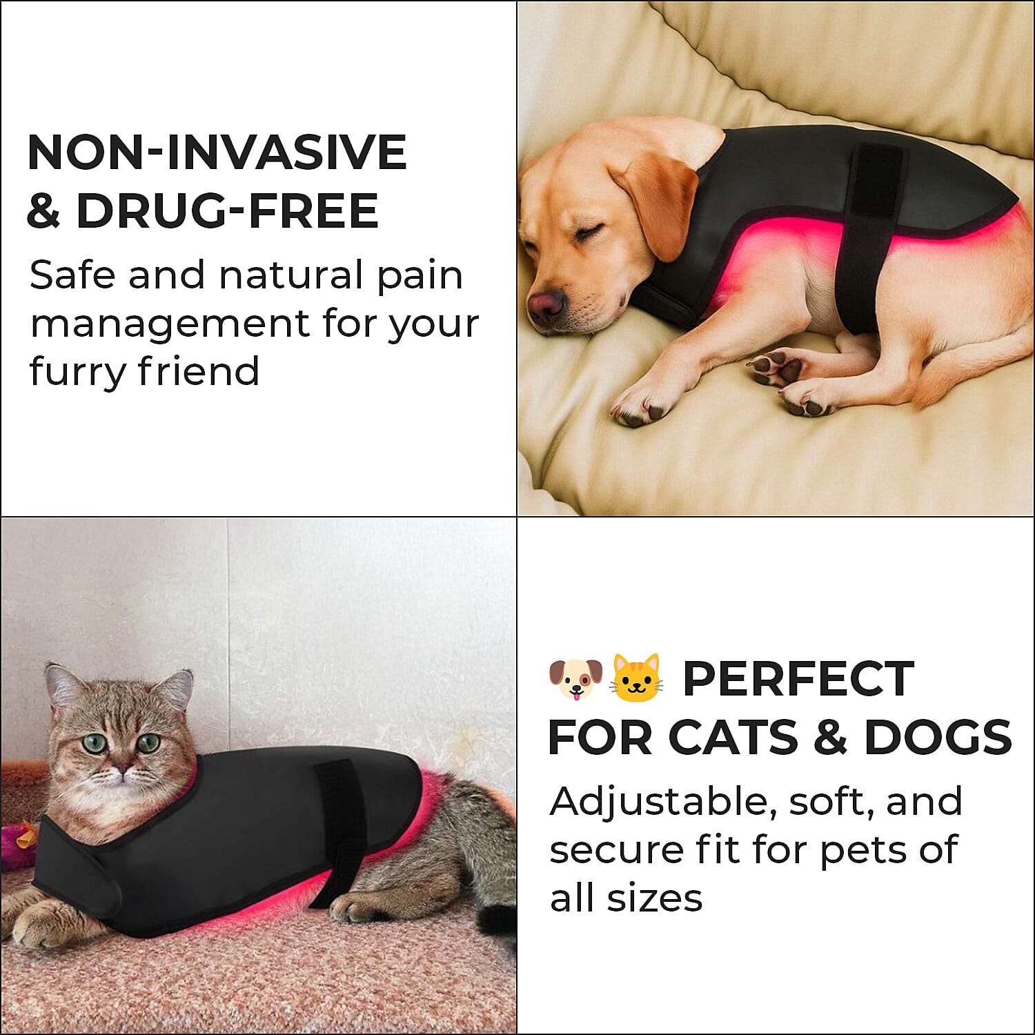 Opatra LumiPet - Medium