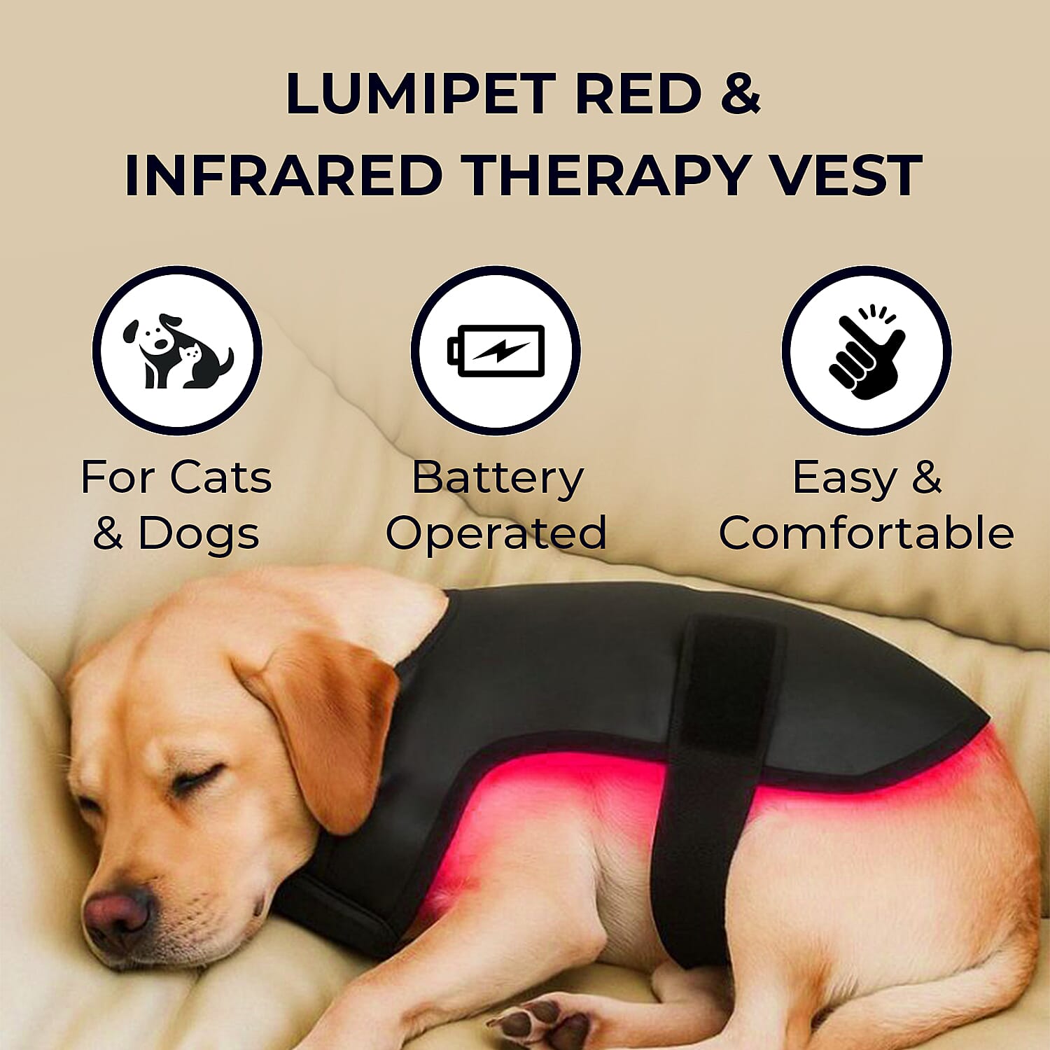 Opatra LumiPet - Medium