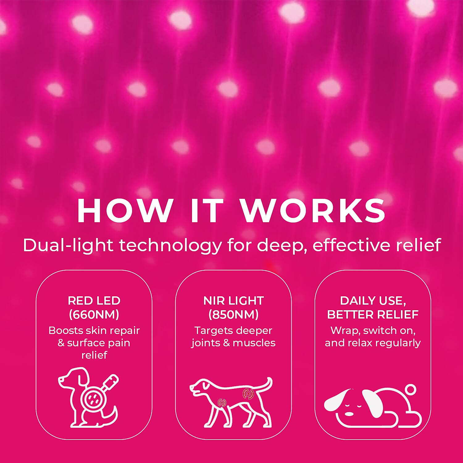 Opatra LumiPet - Medium