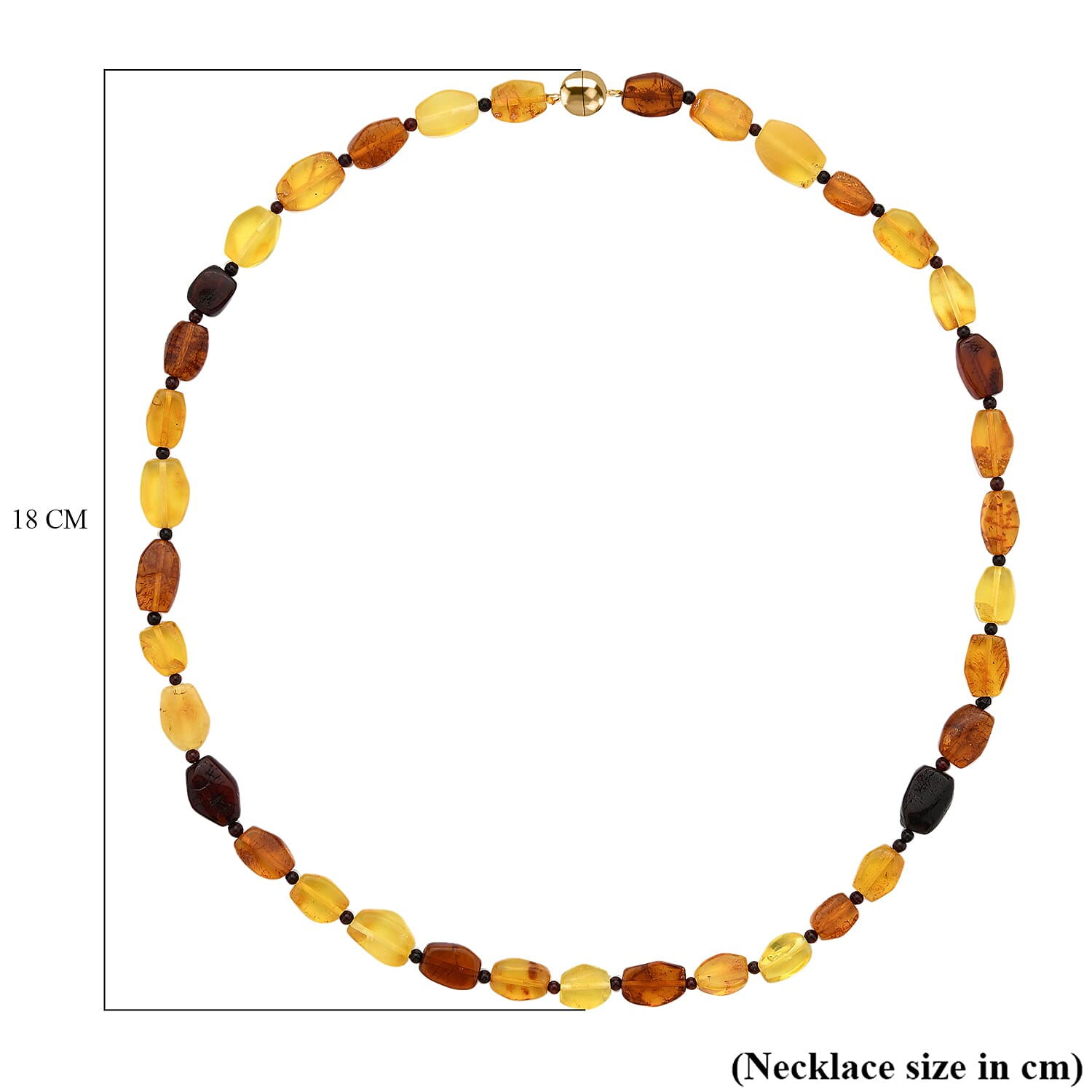 Natural Baltic Amber Necklace With Magnetic Clasp (Size - 20) Sterling Silver