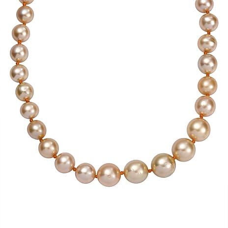 THE GRAND PEARL FIND - ILIANA 18K Yellow Gold AAAA Golden South Sea Round Pearl (8-12MM) Necklace (Size - 20) 324.0 Ct