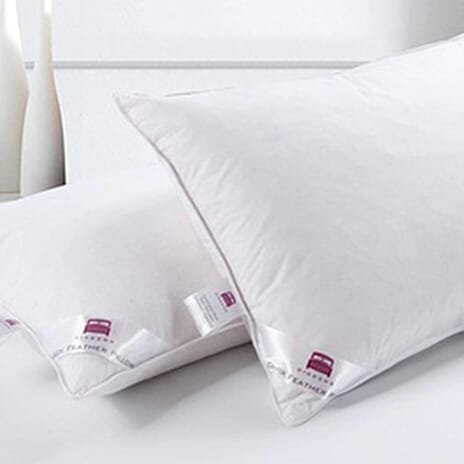 Duck Feather - Down 2 Pillows- White