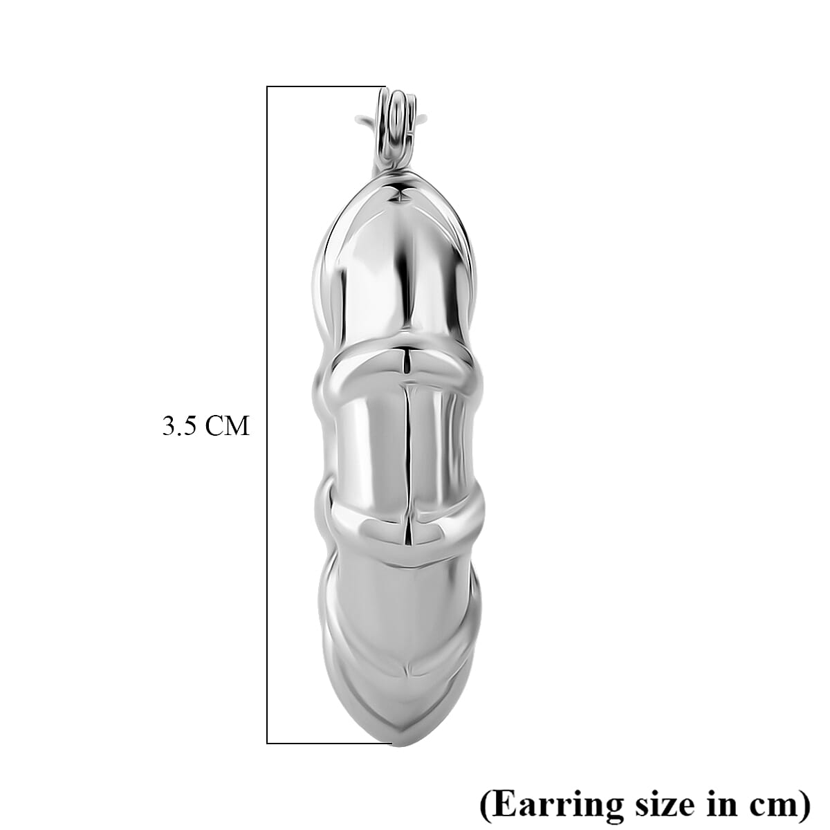 Earring with Clasp in Silver Colour Tone