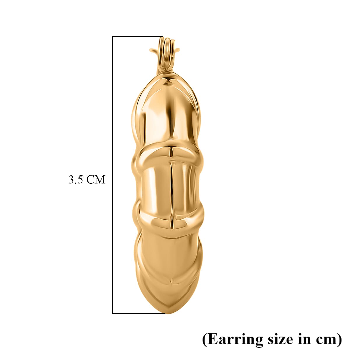 Bamboo Hoop Earring with Clasp