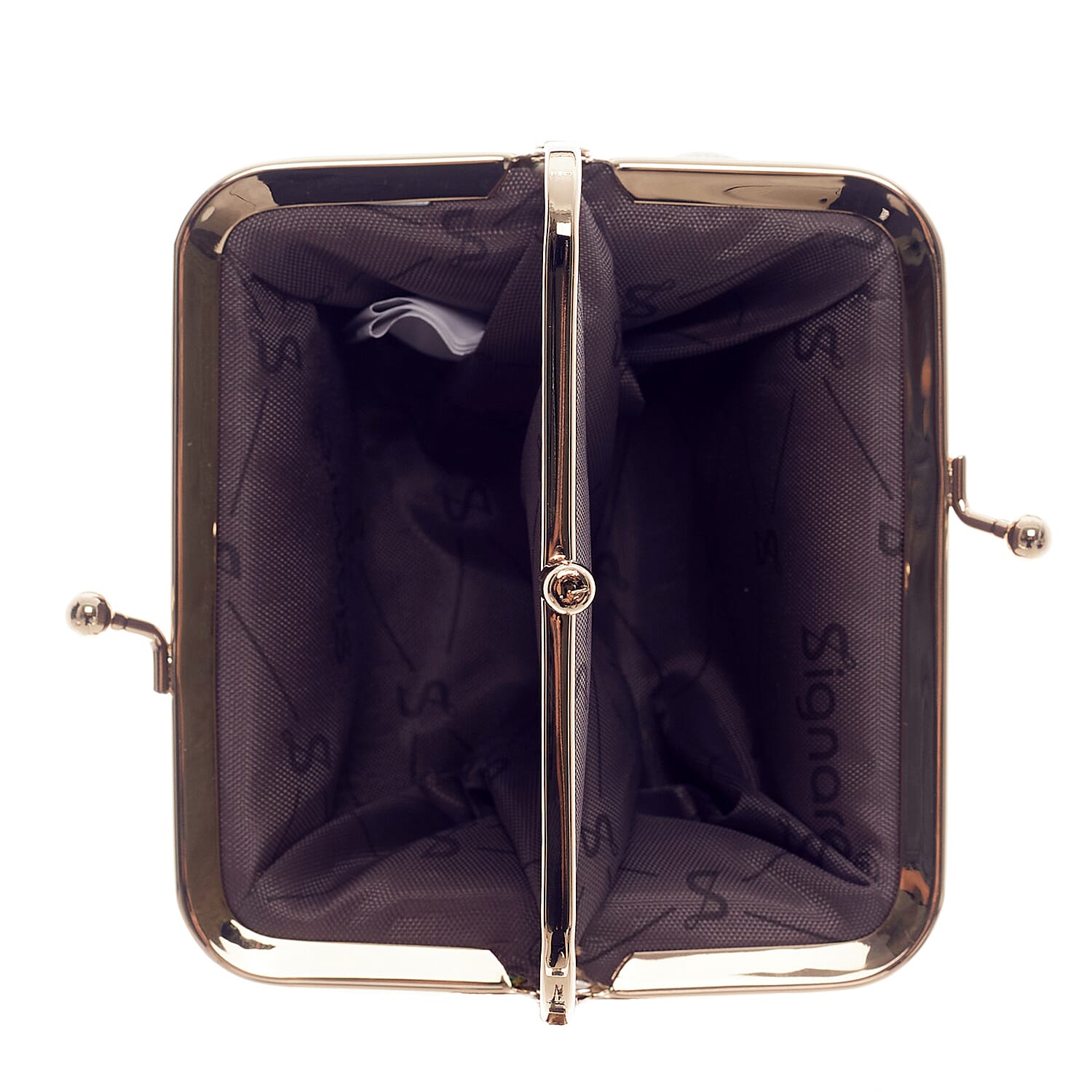 Signare Glass Pouch with Frame Purse - Peter Rabbit