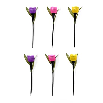 https://tjcuk.sirv.com/Products/80/2/8029819/Set-of-6-Tulip-Flower-Solar-Garden-LED-Light-Pink-Yellow-Purple_8029819.jpg?w=342&h=342