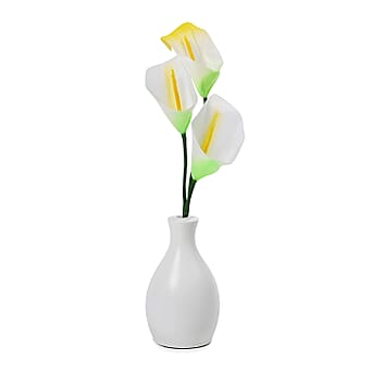 https://tjcuk.sirv.com/Products/80/3/8030654/Decorative-Common-Calla-Lily-Fiber-Optic-Flower-with-RGB-LED-Lighting-_8030654.jpg?w=342&h=342