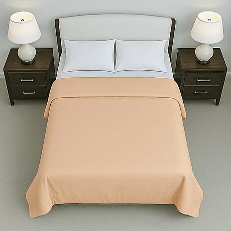 Hush Haven Soft - Breathable Bamboo Viscose Quilt with Quilting (Size Double) - Beige