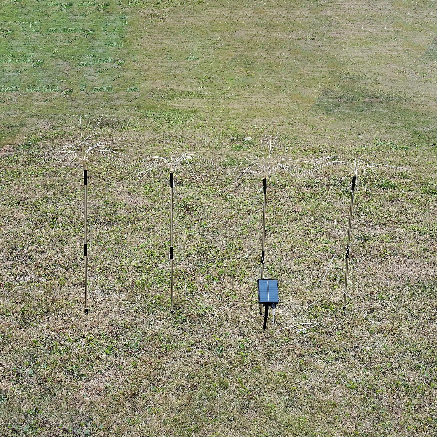 Lowest Price Offer - Set of 4 Solar Firework Lights- Remote Control, 8 Modes (RGB), Timer (80cm) - Black