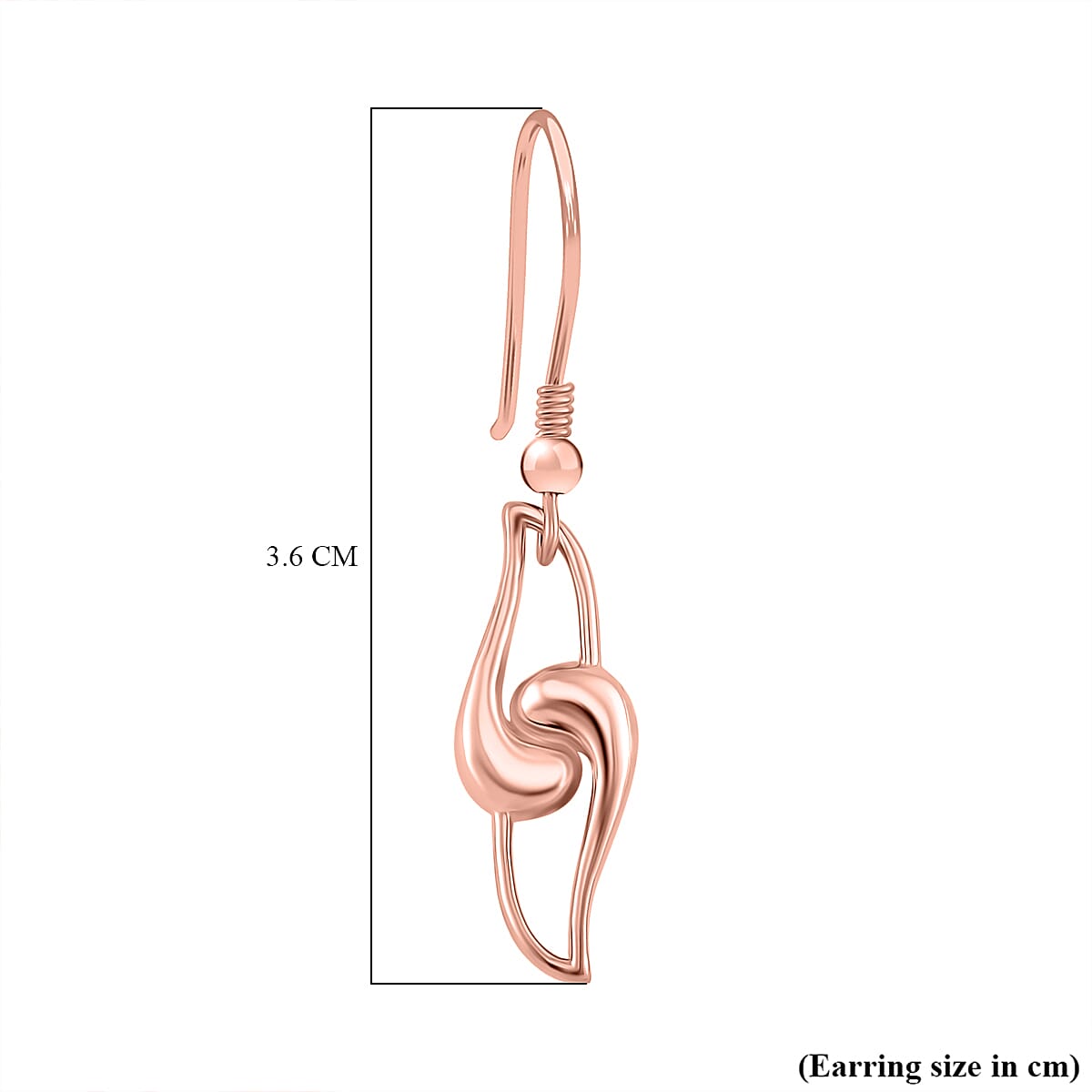 Sterling Silver Fancy Earring