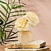 Desire Reed Diffuser and Fabric Flower 100 Ml (Pomegranate Noir)
