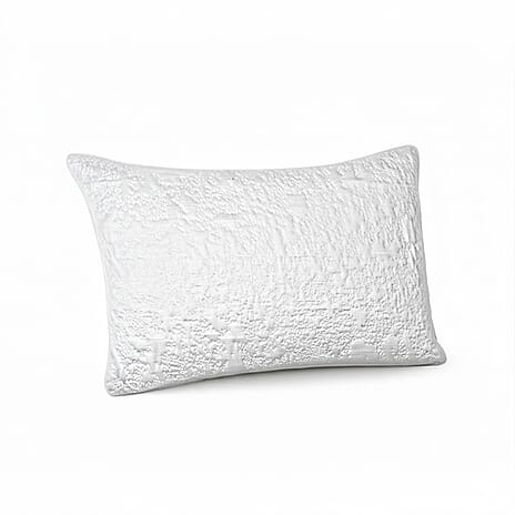 The Dream Pillow - Luxury Cooling Jacquard Pillow - Breathable & Moisture Absorbent, Designed to Absorb & Dissipate Heat (Machine Washable)