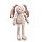 Peter Rabbit Toy