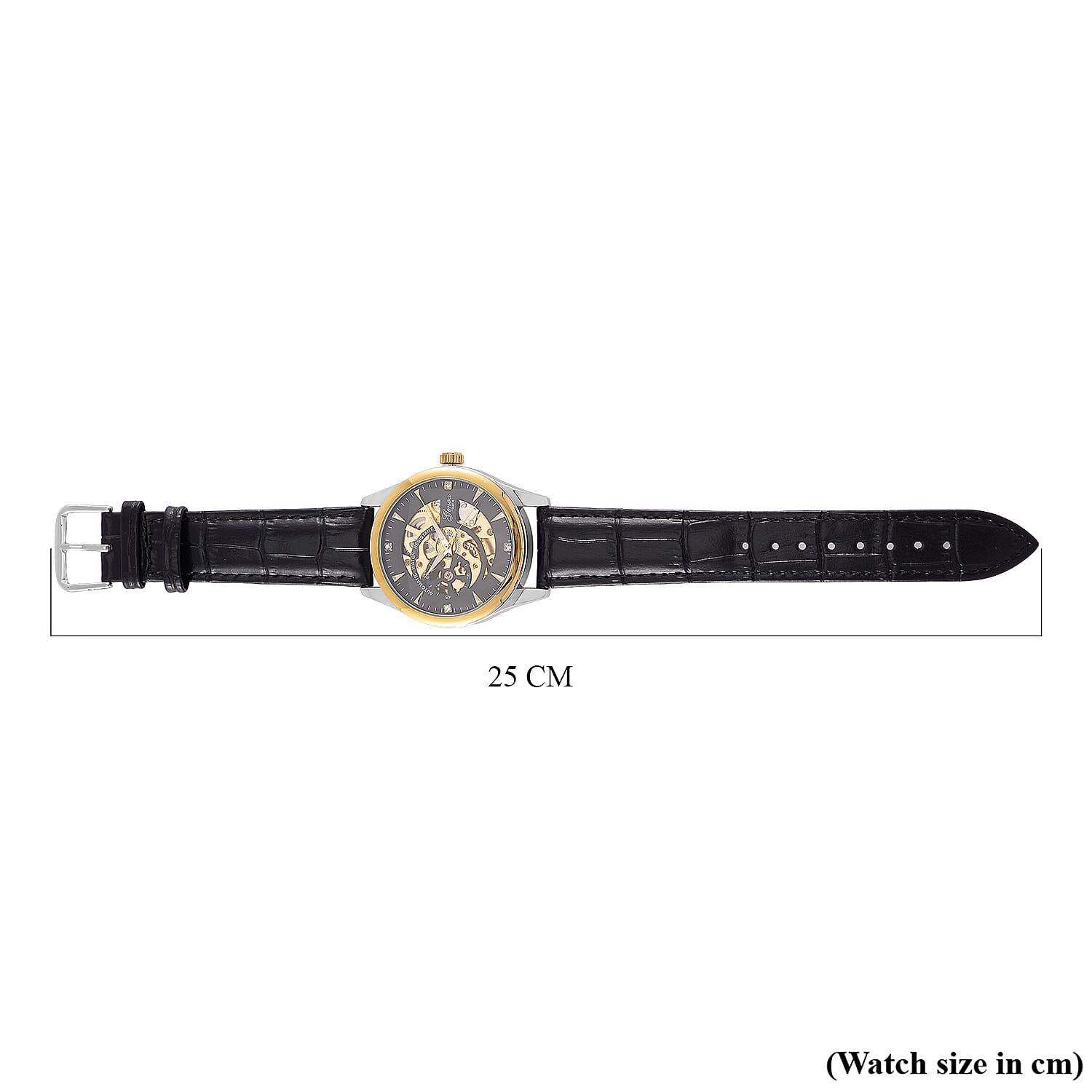 GENOA TIME Limited Edition Automatic Movt. 3ATM Water Resistant Watch With Skeleton Dial & Exhibition Back with Black Leather Strap Presented in a Gift Box