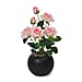 Lifelike Artificial Daisy Flower with Plastic Pot - White Base with Light Pink