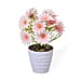 Lifelike Artificial Daisy Flower with Plastic Pot - White Base with Light Pink