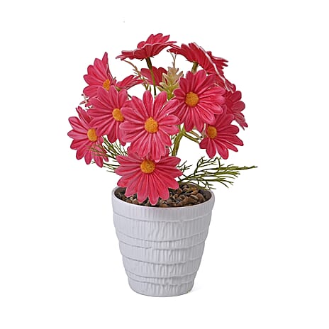 Set of 2- Artificial Fuchsia Daisy Flowers in Golden Pot - 7 Branches, 14 Flowers (Size 25x11cm)