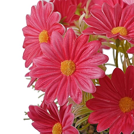 Set of 2- Artificial Fuchsia Daisy Flowers in Golden Pot - 7 Branches, 14 Flowers (Size 25x11cm)