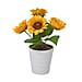 Lifelike Artificial Daisy Flower with Plastic Pot - White Base with Light Pink