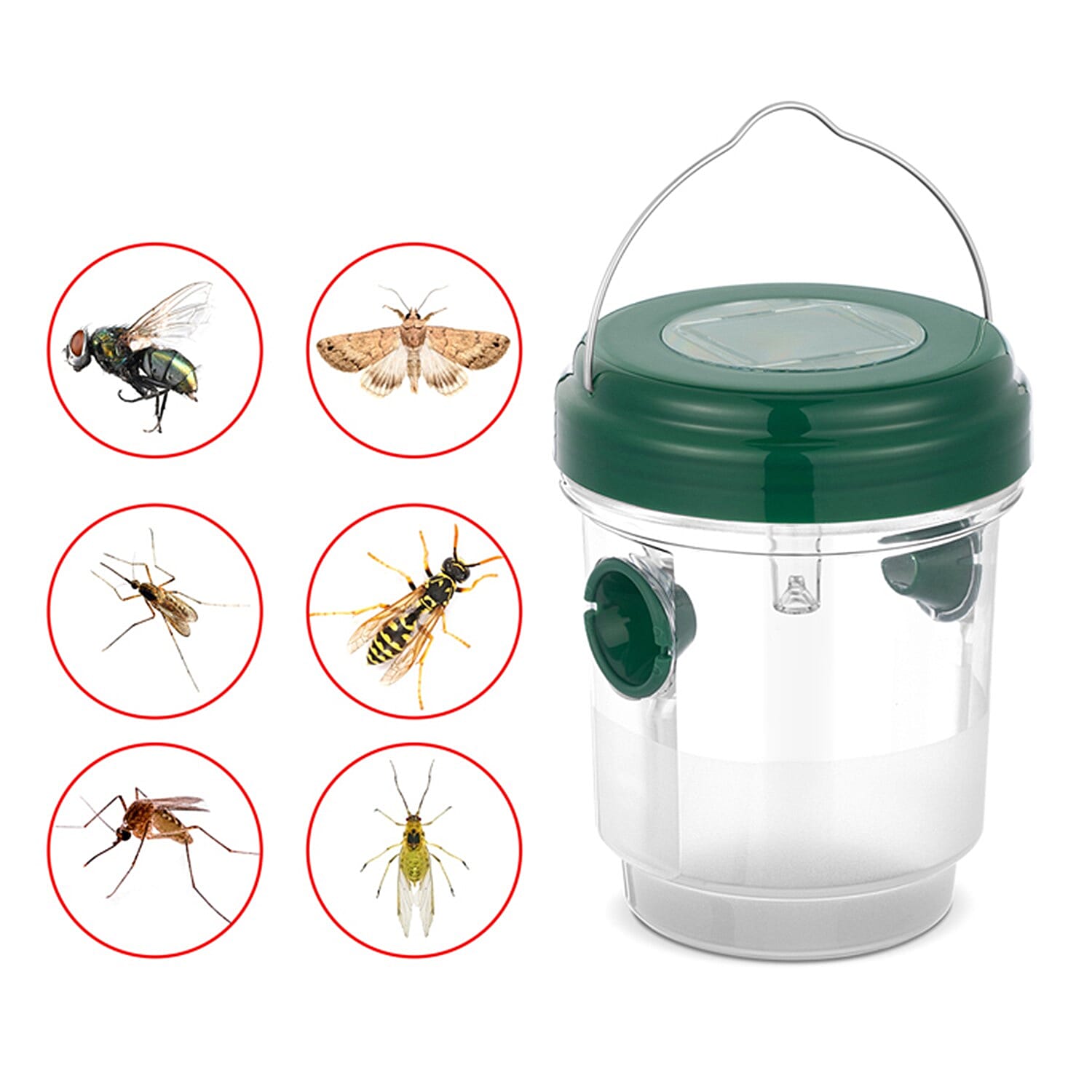 No More Wasps! - 3 Solar Wasp Traps for Garden Use - LED Light - Double Entrance - 6-8 Hr Working Time Green No More Wasps! - 3 Solar Wasp Traps for Garden Use - LED Light - Double Entrance - 6-8 Hr Working Time Green