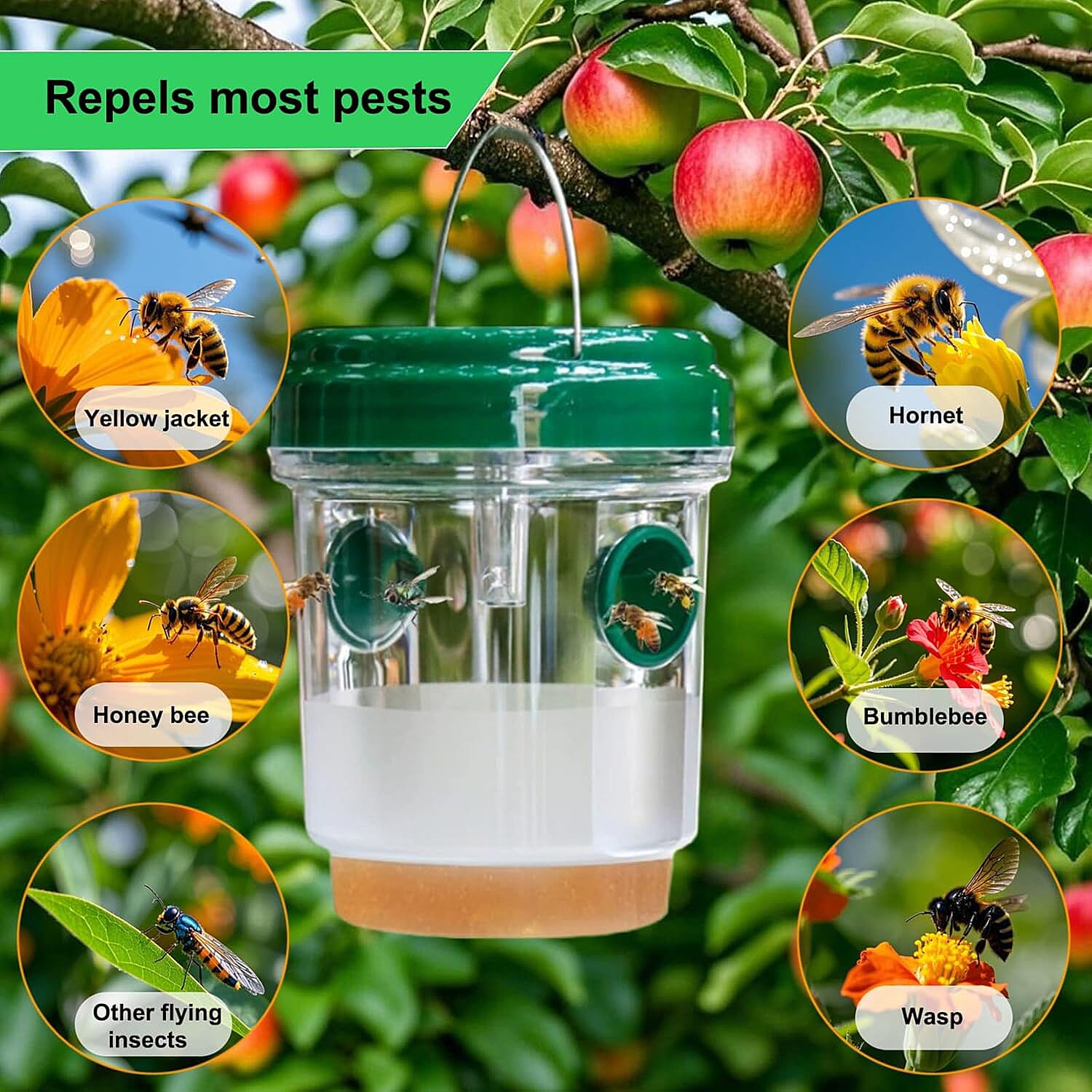 No More Wasps! - 3 Solar Wasp Traps  for Garden Use - LED Light - Double Entrance - 6-8 Hr Working Time Green