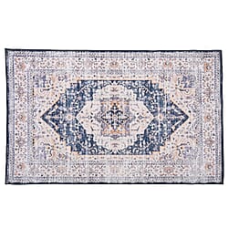 Vintage Printed Chenille Area Rug with Non-Slip Backing (180x120cm) - Red & Multicolor