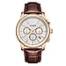 Gamages Of London Sovereign Quartz Movt. 5ATM WR Silver Colour Dial Mens Watch with Brown Leather Starp