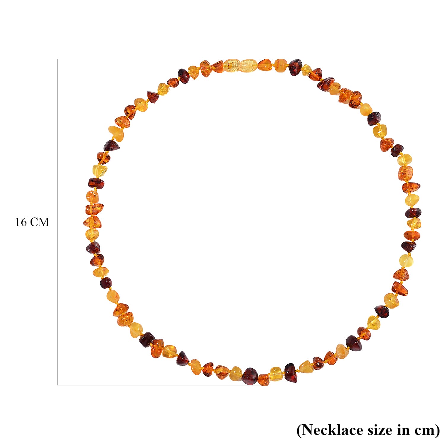 Tucson Find - Baltic Amber Necklace (Size 20) with Screw Clasp 52.00 Ct.
