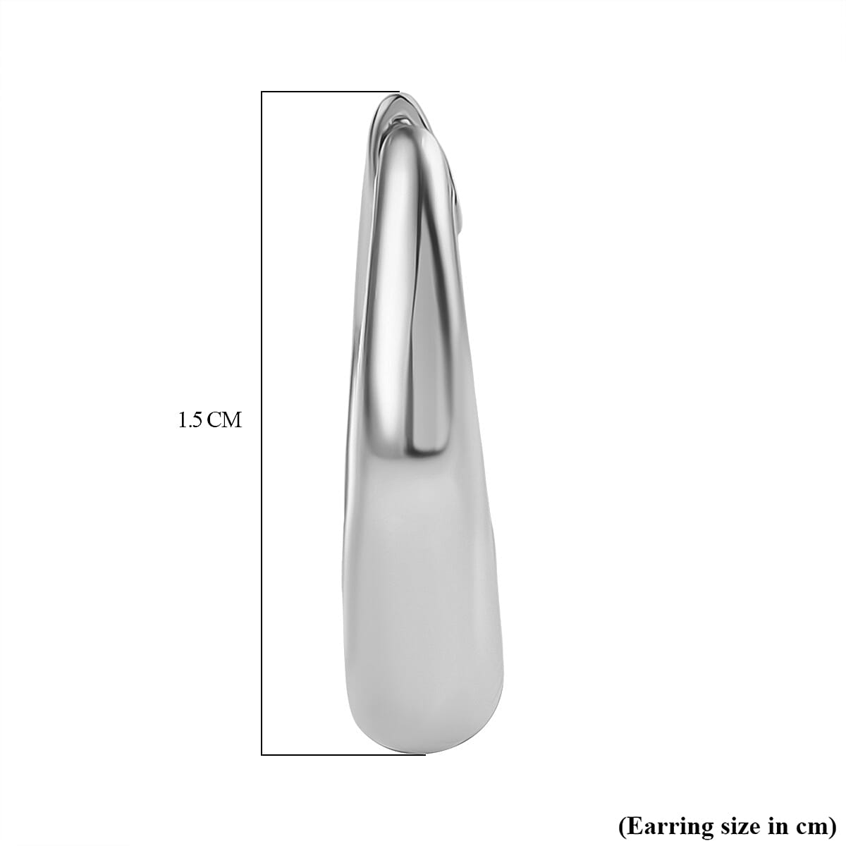 Platinum OverlaySterling Silver Fancy Earring Platinum OverlaySterling Silver Fancy Earring