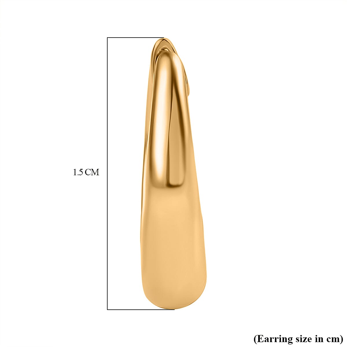 Vicenza Collection - 14K Gold Plated Sterling Silver Hoop Earrings Vicenza Collection - 14K Gold Plated Sterling Silver Hoop Earrings
