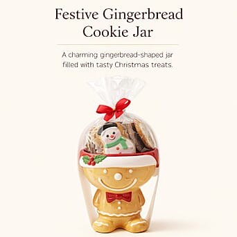 https://tjcuk.sirv.com/Products/80/8/8087253/The-Leonardo-Collection-Gingerbread-Figural-Cookie-Jar-Gift-Set-Brown_8087253_1.jpg?w=342&h=342