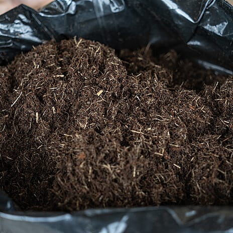 Your Ideal Professional Compost Live Plants x 70 Litre Bag