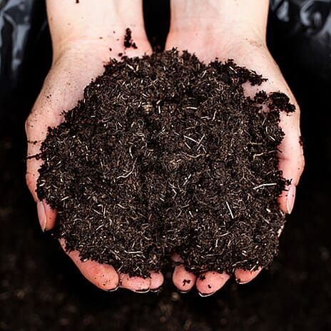 Your Ideal Professional Compost Live Plants x 70 Litre Bag