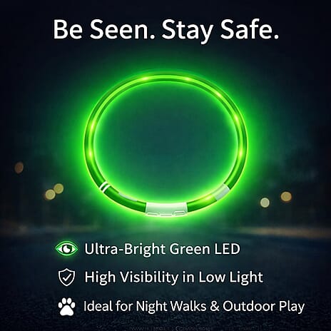 Set of 2 LED Pet Glow Collars -  Green