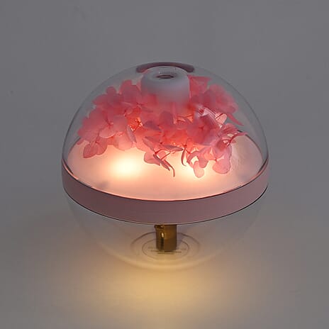Preserved Flower Humidifier With 2 Mist Modes and Optional Warm Light Feature with 10 Essential Oils