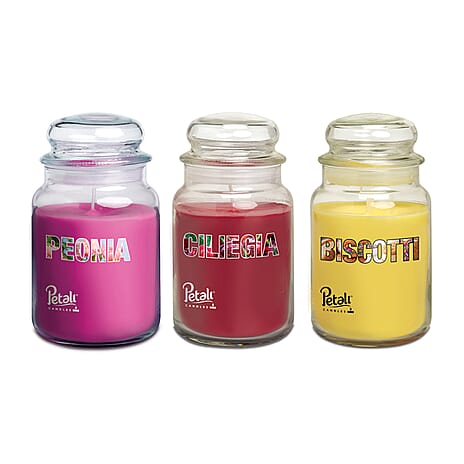 Petali Set of 3 Christmas Scented Large Jar Candles - Biscotti, Apple Spice & Wellbeing - Yellow