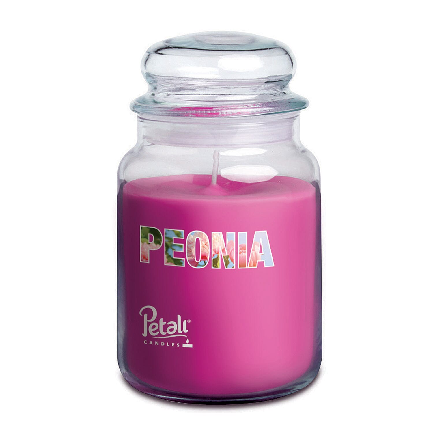 Petali Set of 3 Christmas Scented Large Jar Candles - Biscotti, Apple Spice & Wellbeing - Yellow