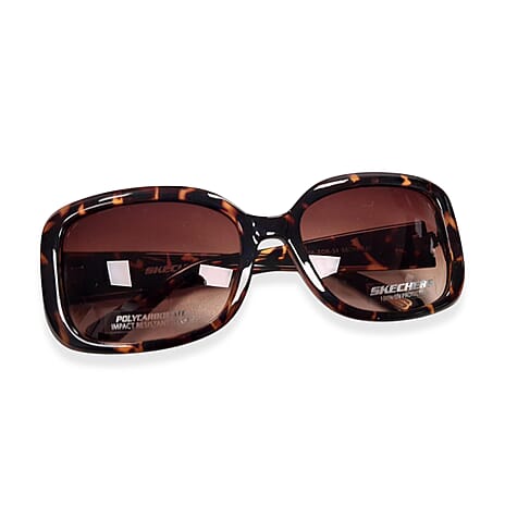 Sketchers Sunglass - Burgundy