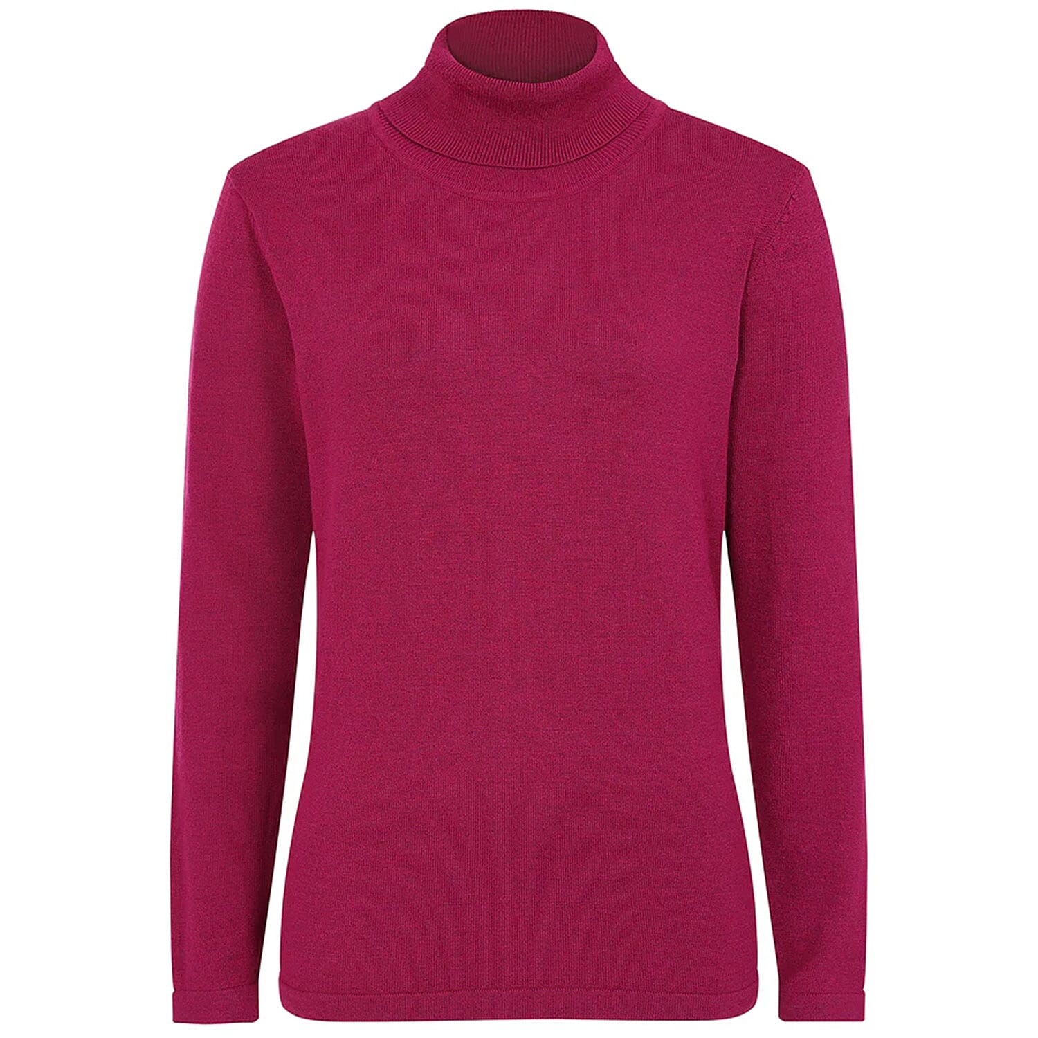 Basic Roll Neck Jumper 
