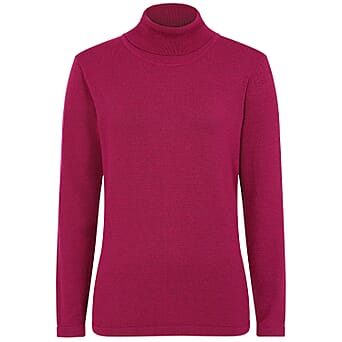 https://tjcuk.sirv.com/Products/81/0/8107661/Basic-Roll-Neck-Jumper-Size-Small-Berry_8107661_3.jpg?w=342&h=342