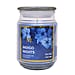 Modern Expressions Paradise Cooler Scented Candle Jar (18oz) - Yellow