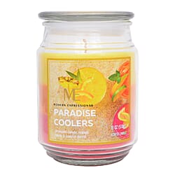 Modern Expressions Spice Gardenia Scented Candle Jar (18oz) - Cream