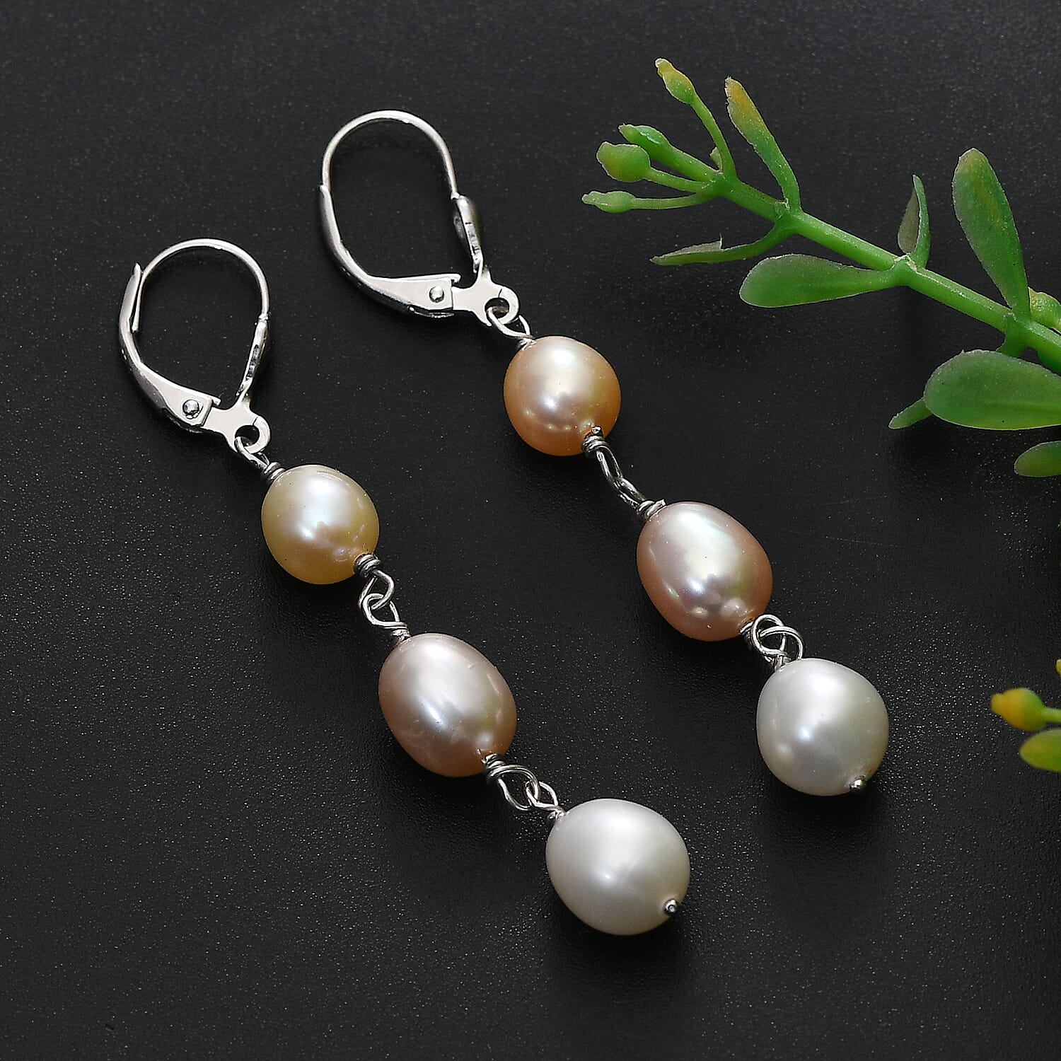 Multi Color Fresh Water Pearl Earring with Lever Back in Rhodium Overlay Sterling Silver 20.00 Ct.