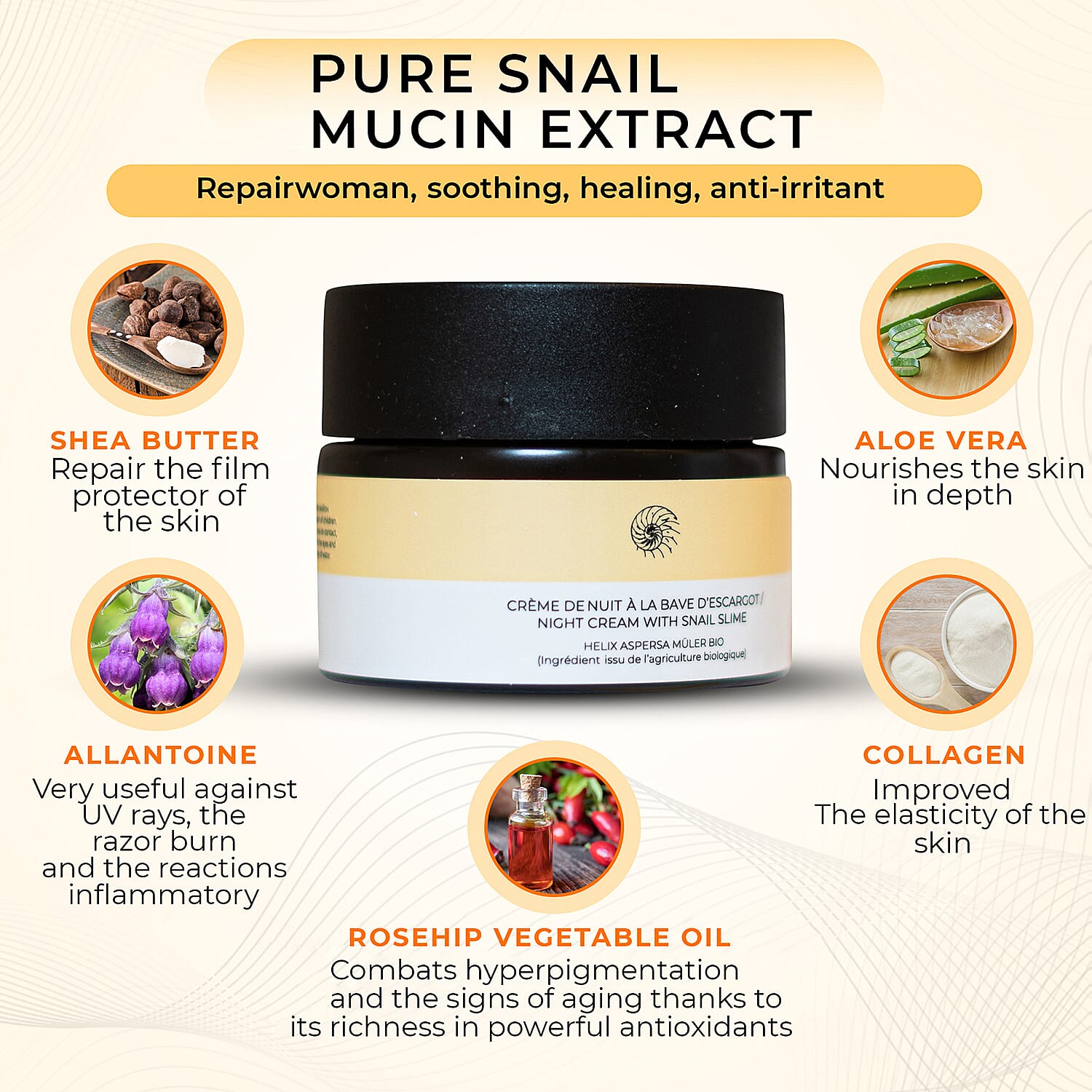 SKINEANCE Snail Slime Regenerating Night Cream - 50ml