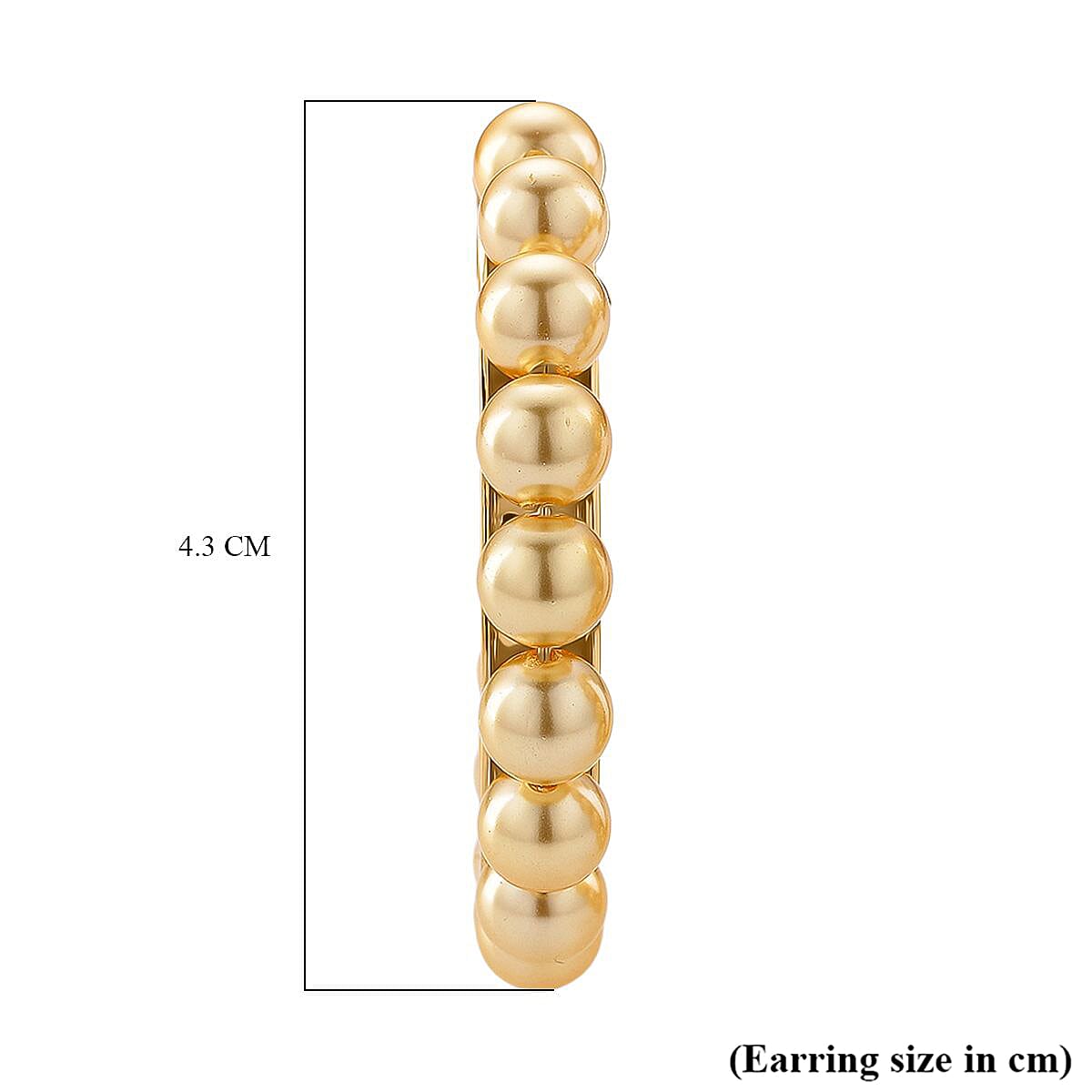 Golden Colour Shell Pearl Earrings with Push Backs in Yellow Gold Plated 20.00 Ct.