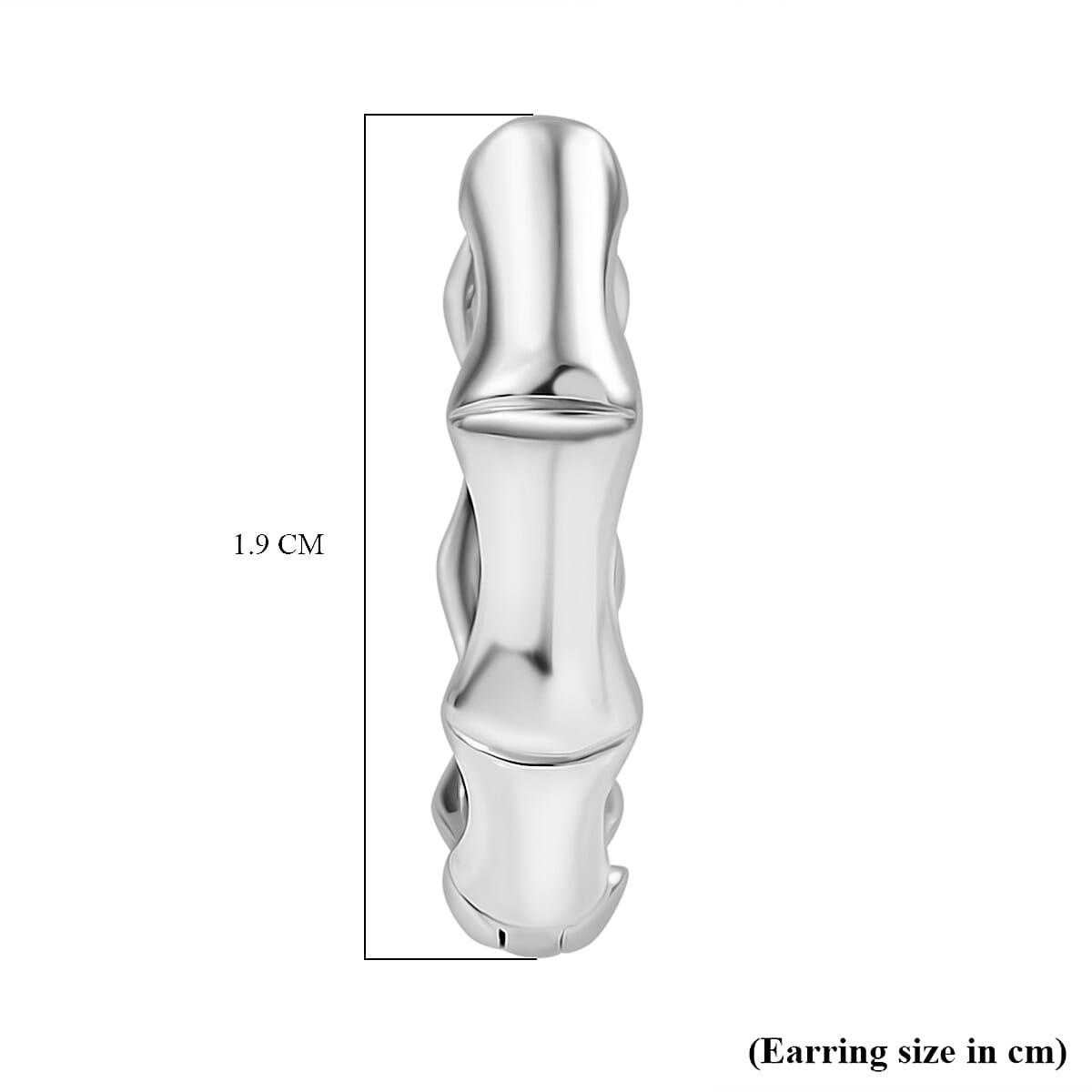 Designer Inspired - Bamboo Hoop Earrings in Platinum Overlay Sterling Silver