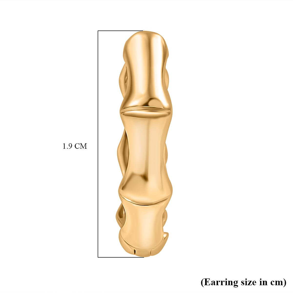 Designer Inspired - Sterling Silver Bamboo Hoop Earring in Yellow Gold Plating